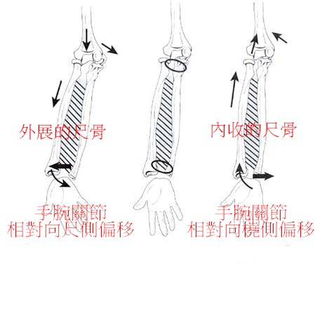 手肘外側疼痛,只是網球肘嗎?水針刀 金門美兆診所 手肘外側疼痛,只是網球肘嗎?水針刀 金門美兆診所